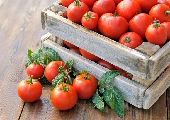 Tretyakovsky tomat i en låda