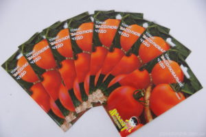 Opis a charakteristika odrody paradajok Solný zázrak, jeho výnos