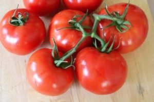Características y descripción de la variedad de tomate Blagovest, su rendimiento