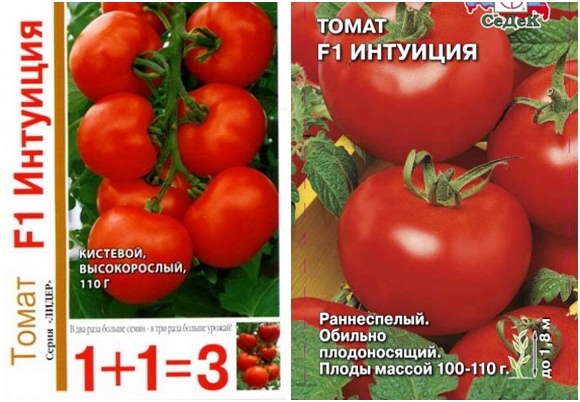 intuición de semillas de tomate