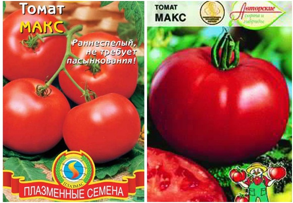 pomidorų sėklos maks