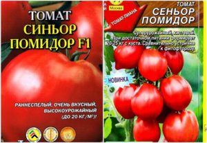 Egenskaper och beskrivning av tomatsorten Signor tomat