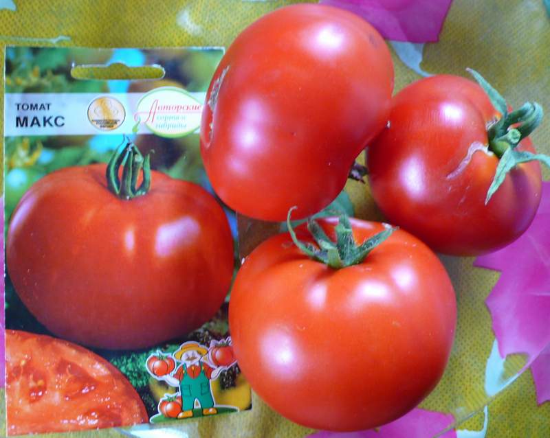 uiterlijk van tomaat max