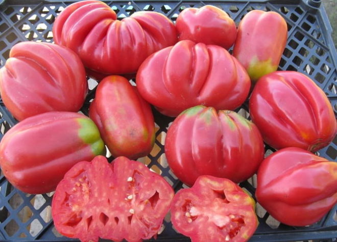 Americké rebrované paradajky vo vnútri