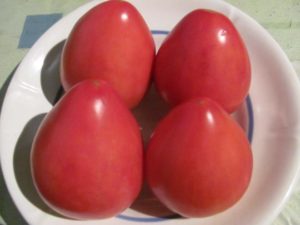 Fatıma domates çeşidinin özellikleri ve tanımı