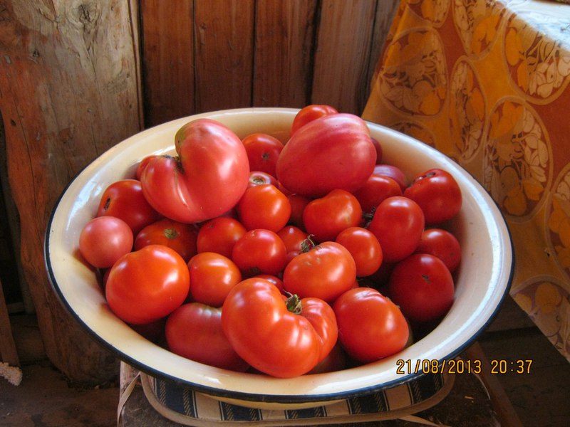 trynių pomidorą dubenyje