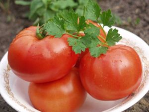Pomidorų veislės Polbig charakteristikos ir aprašymas, derlius