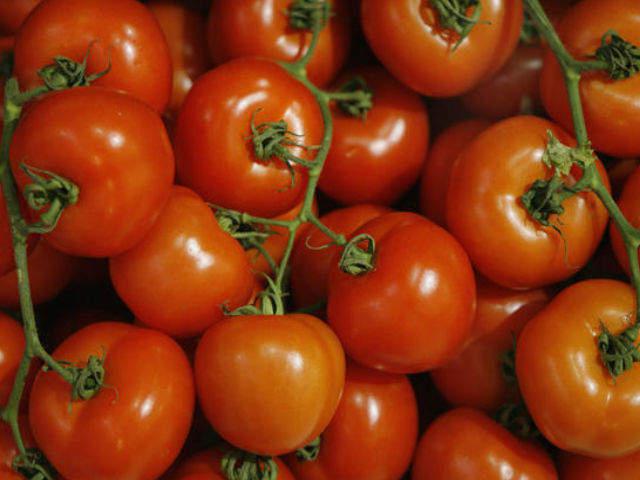 utseendet på tomater tomater Maryina Roshcha