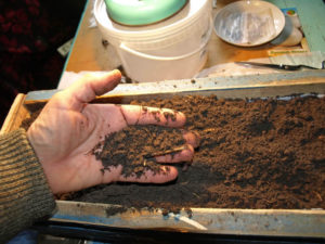 Hogyan készítsük el a talajt a paradicsom palántákhoz otthon, saját kezükkel