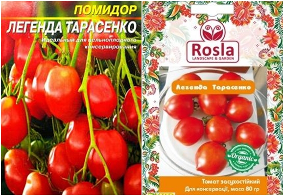 Nasiona pomidorów Legenda Tarasenki