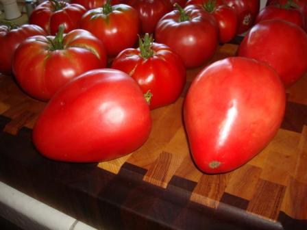 tomates en la mesa