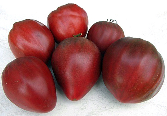 paradajkovo fialové srdce