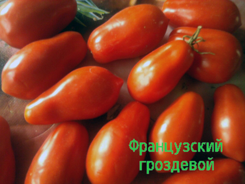 pomidorų prancūziškos kekės išvaizda