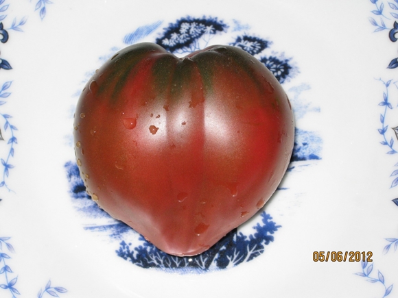 alsou pomidorą ant stalo