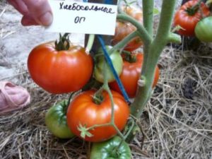 Egenskaper och beskrivning av Khlebosolny-tomatsorten, dess utbyte