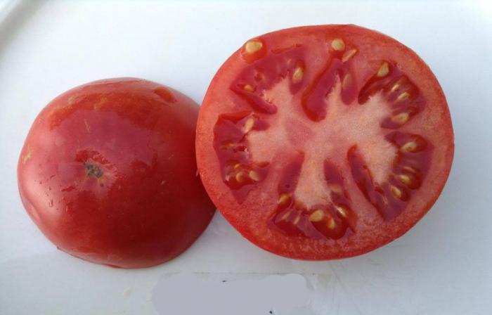 Moskvič pomidorų pjaustymas