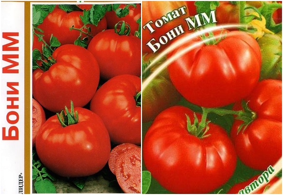 pomidorų sėklos boni mm