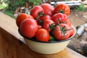 Characteristics and description of the tomato variety Azhur f1, its yield