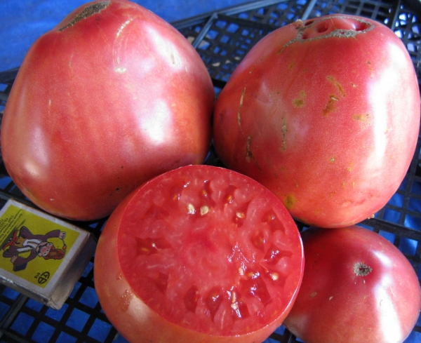 Pudovik pomidorowy z kawałkami