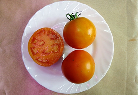 tomatmåltid i en tallerken