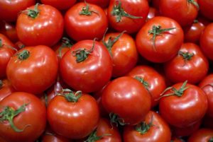 Caractéristiques et description de la variété de tomate Torbay, son rendement