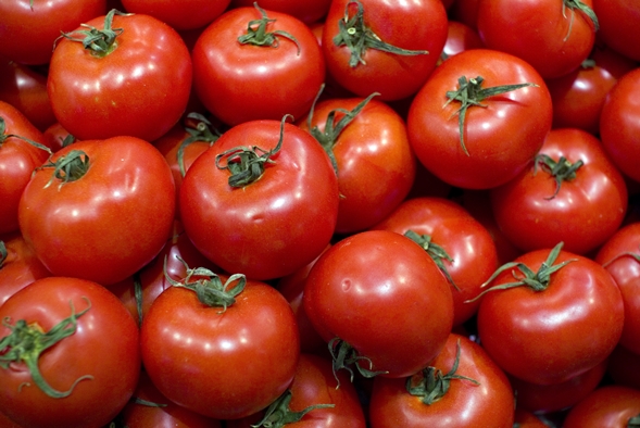 tomate de tomate f1 în grămadă
