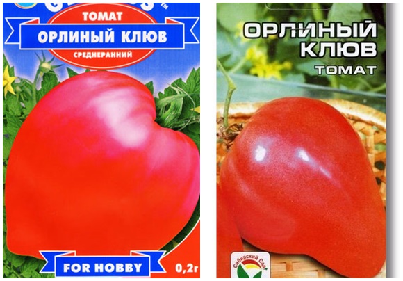 tomaatin siemenet kotka nokka