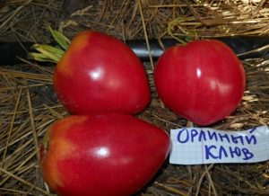 Pomidorų veislės Erelio snapas charakteristikos ir aprašymas, derlius
