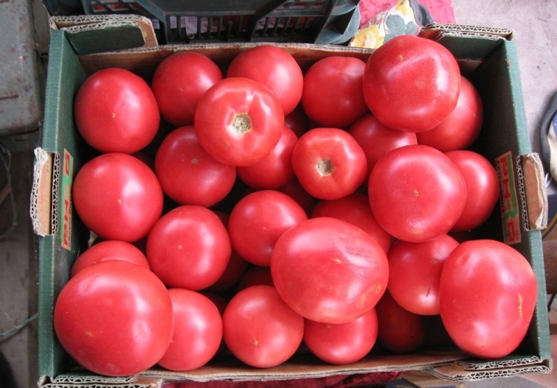 lyserøde tomater unikke i en kasse