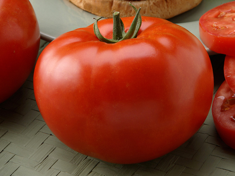 liels liellopa tomāts