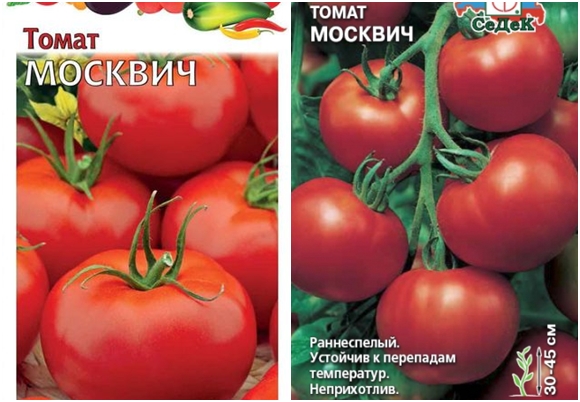 σπόροι ντομάτας moskvich