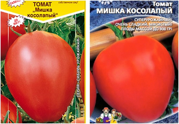 pomidorų sėklų meškiukas
