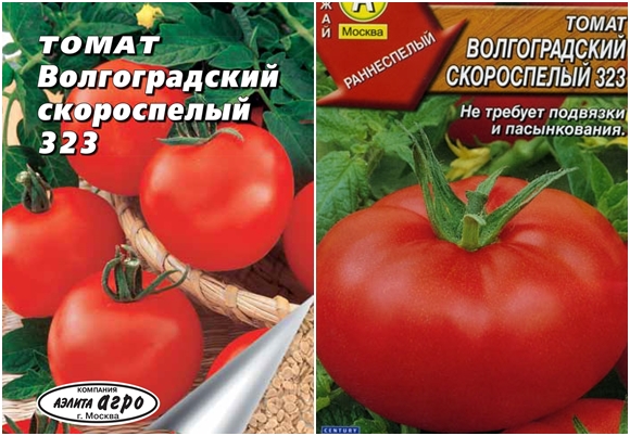 Tomato seeds Volgograd early ripening