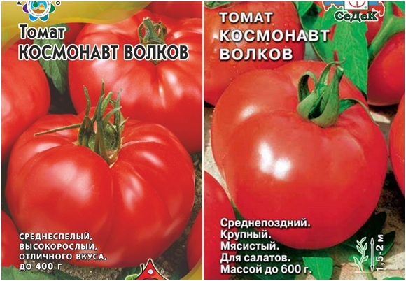 tomātu sēklas Kosmonauts Volkovs