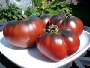 Egenskaper och beskrivning av Negritenok-tomatsorten, dess utbyte