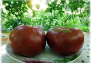 Χαρακτηριστικά και περιγραφή των ποικιλιών ντομάτας της σειράς ντομάτας Gnome, η απόδοσή της