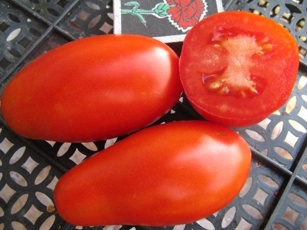 Prancūziškas ryšelis pomidorų viduje