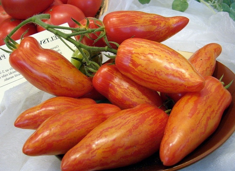 raudonų pomidorų Maskvos delikatesas