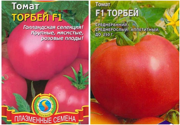 pomidorų sėklos torbey f1