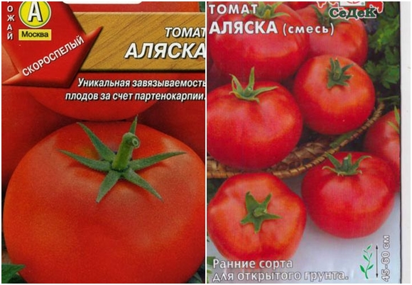 pomidorų sėklos Alaskoje