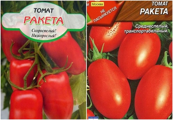 pomidorų sėklų raketa