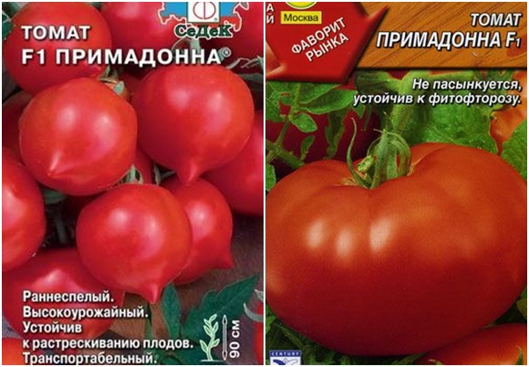 semillas de tomate semillas de tomate prima donna