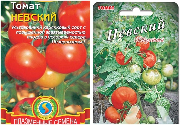 pomidorų Nevsky sėklos