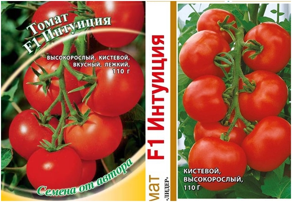 pomidorų sėklos Intuicija F1