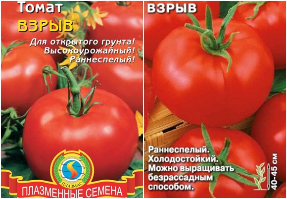 explózia semien paradajok