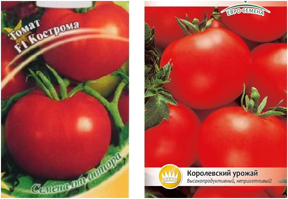 semillas de tomate Kostroma F1