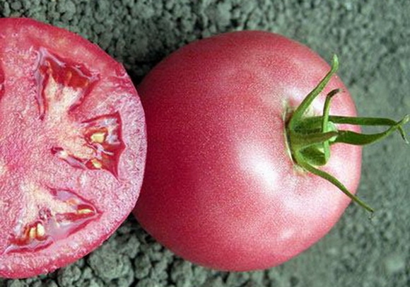 tomate rosa único por dentro