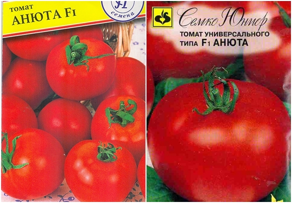 tomatfrön anyuta