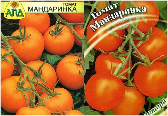 mandarinų pomidorų sėklos