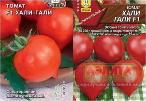 Egenskaper och beskrivning av Hali Gali-tomatsorten, dess utbyte